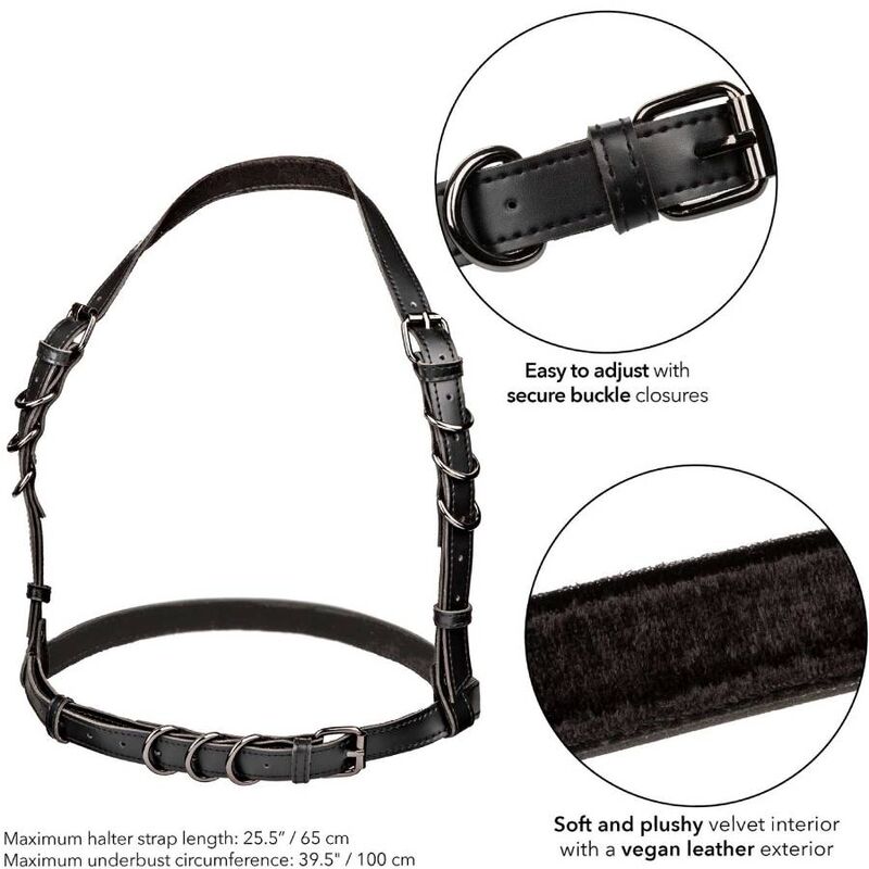 Harnais Euphoria Boucle Licol Noir - CalExotics