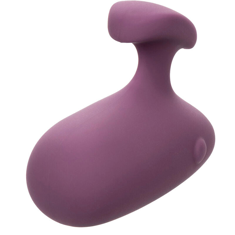 Stimulateur Mod Touch Violet - CalExotics