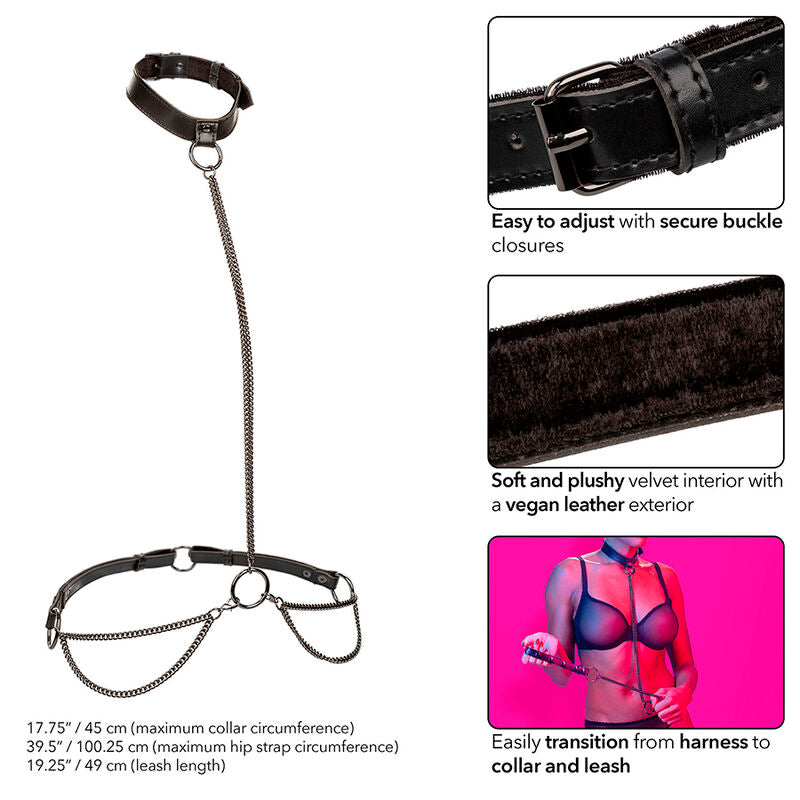 Collier Laisse Chaîne Euphoria Cuir Végétalien - CalExotics