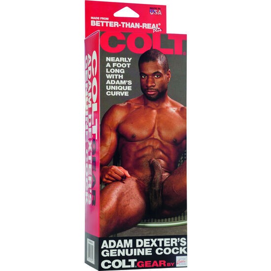 Gode Réaliste Ventouse Star X Adam Dexter - CalExotics