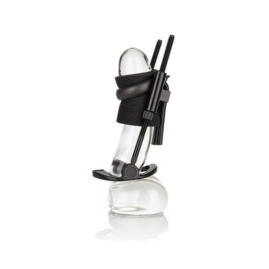Extension Pénis Penis Extender Médical - Calexotics