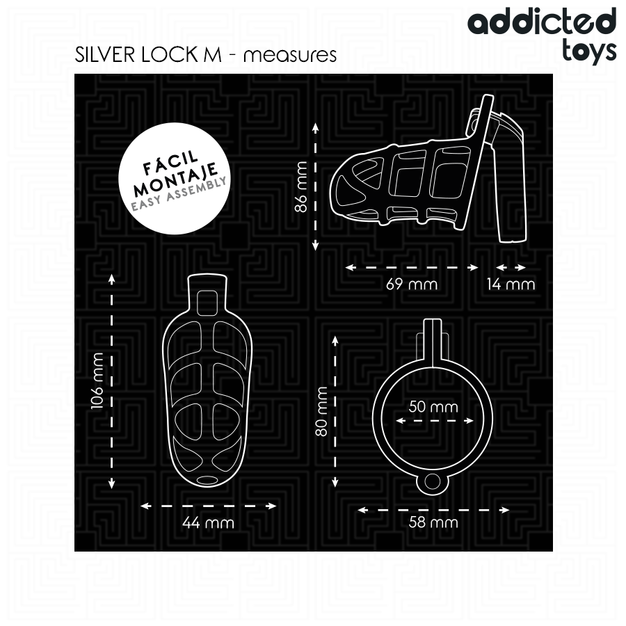 Cage de Chasteté Addicted Toys Locked Métal Argent M
